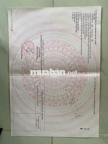 12 lô full thổ cư tại Tân Phong Tân Biên Tây Ninh