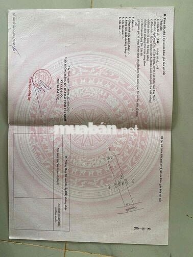 12 lô full thổ cư tại Tân Phong Tân Biên Tây Ninh