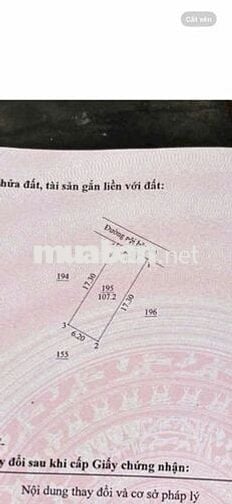 🌟 BÁN ĐẤT CHỢ BÚNG – 107m² – GIÁ 2,75 TỶ
