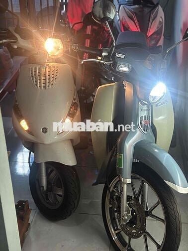 zip 100 nhỏ đẹp ken BSTP chính chủ