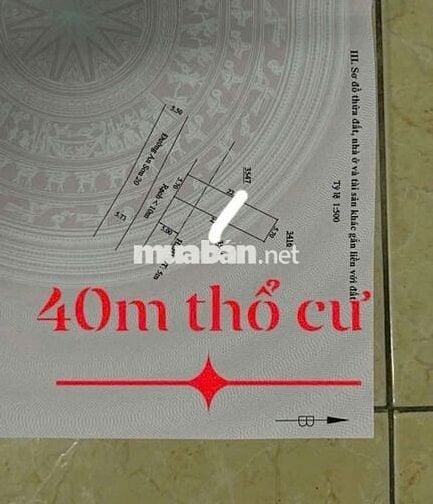 🌿 ĐẤT AN SƠN 20 NGANG 5,7M – HƯỚNG TÂY NAM – GIÁ CHỈ 1 TỶ 750 🌿
