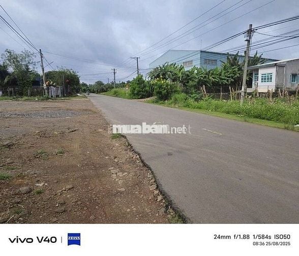 Bán lô đất sào mặt tiền nguyễn hoàng tại cây gáo
