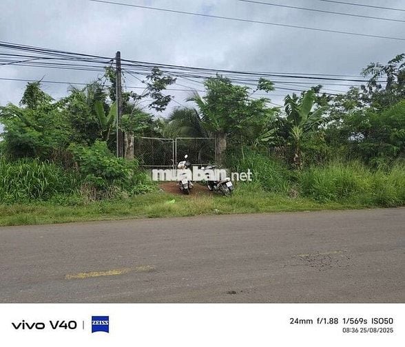 Bán lô đất sào mặt tiền nguyễn hoàng tại cây gáo