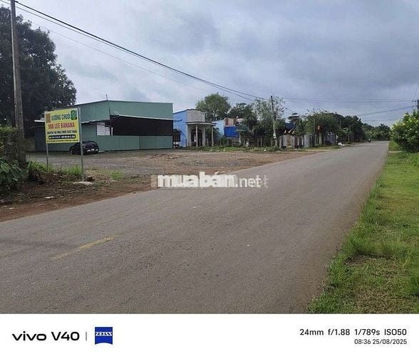 Bán lô đất sào mặt tiền nguyễn hoàng tại cây gáo