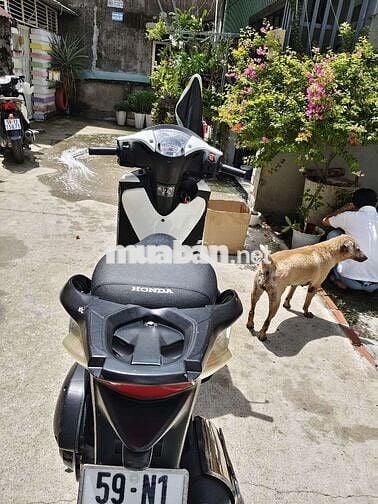 Sh úp đẹp 150 máy bao êm Biển SG