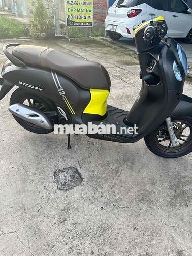 Honda Scoopy