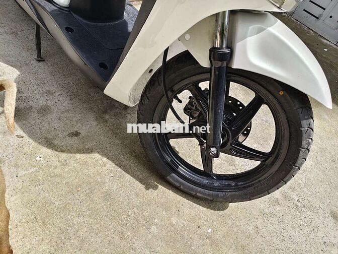 Sh úp đẹp 150 máy bao êm Biển SG