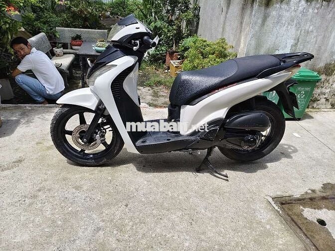 Sh úp đẹp 150 máy bao êm Biển SG
