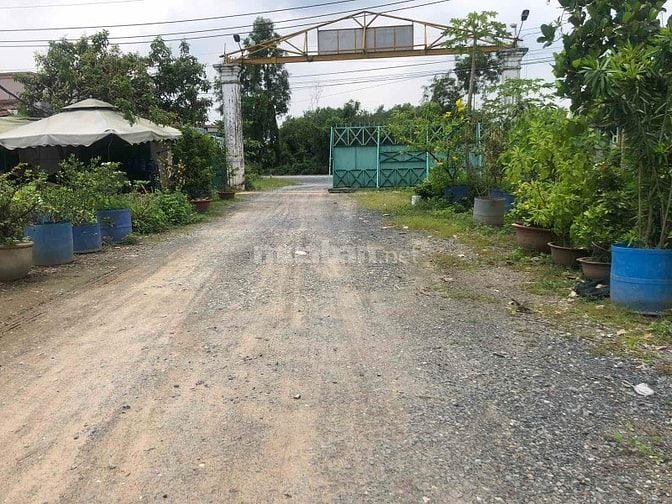 Cho Thuê Kho Xưởng 1.000m² Tại Củ Chi – Giá 45tr/tháng