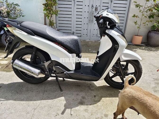 Sh úp đẹp 150 máy bao êm Biển SG