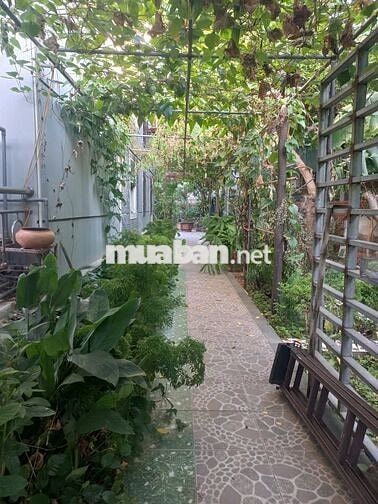 CHO THUÊ BIỆT THỰ SÂN VƯỜN 2.5 TẦNG, ĐẤT 700M2, 37.5M MẶT TIỀN ĐƯỜNG