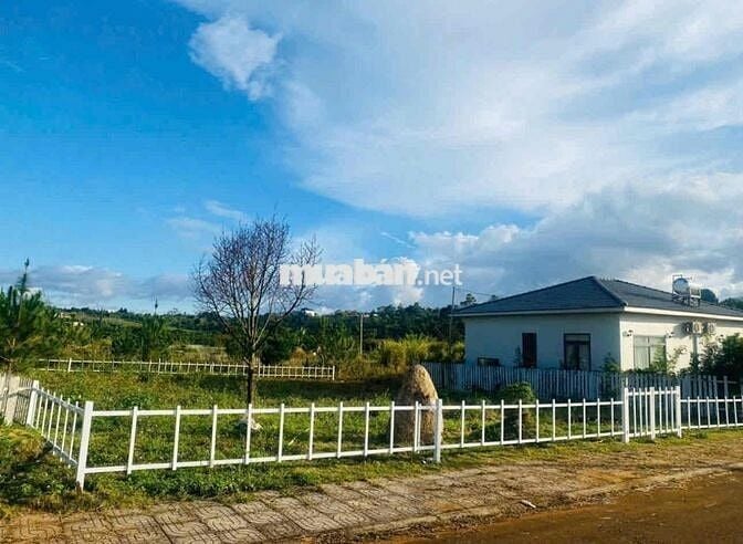 Thanh toán nợ gấp bán lỗ lô 515m2 giá 479tr tặng vườn tiểu cảnh