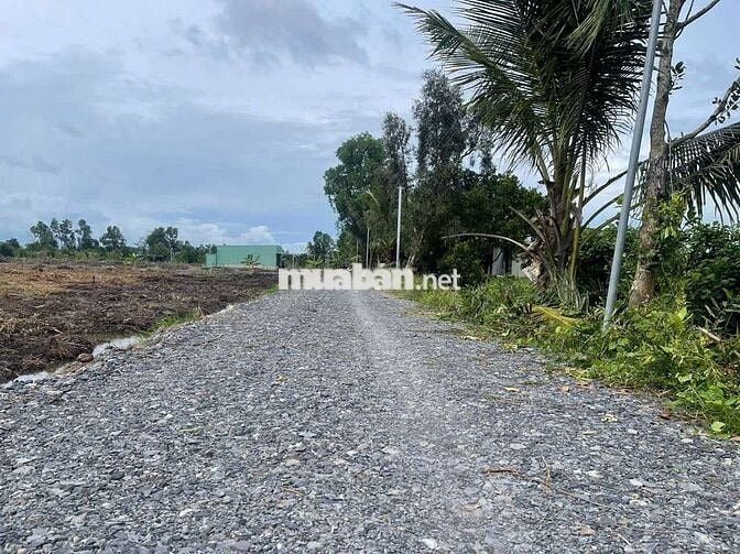 Đất vườn diện tích 1030mv giá 749tr.thạnh hòa bến lức Long An.shr.