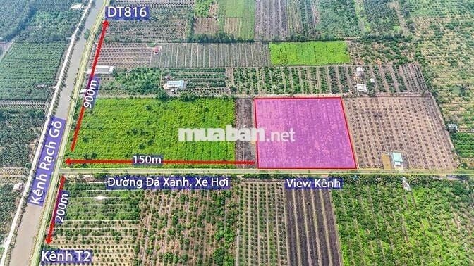 Đất vườn diện tích 1030mv giá 749tr.thạnh hòa bến lức Long An.shr.