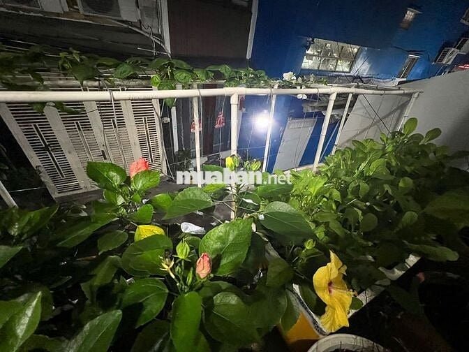 Phòng Quận 3, 10-15 m2, gần chợ Bàn Cờ, an ninh,Thoáng mát, tiện nghi