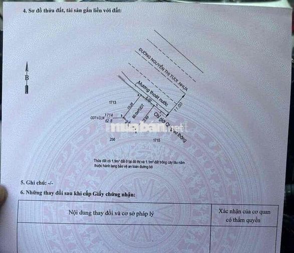 ĐẤT MẶT TIỀN KINH DOANH BUÔN BÁN đường Nguyễn Thị Tươi