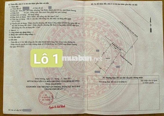 Đất góc hai mặt tiền Đường Nguyễn Thị Tươi p Tân Bình Tp Dĩ An