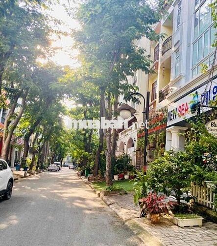 CHO THUÊ CĂN HỘ DỊCH VỤ PHÚ MỸ HƯNG (chính chủ)