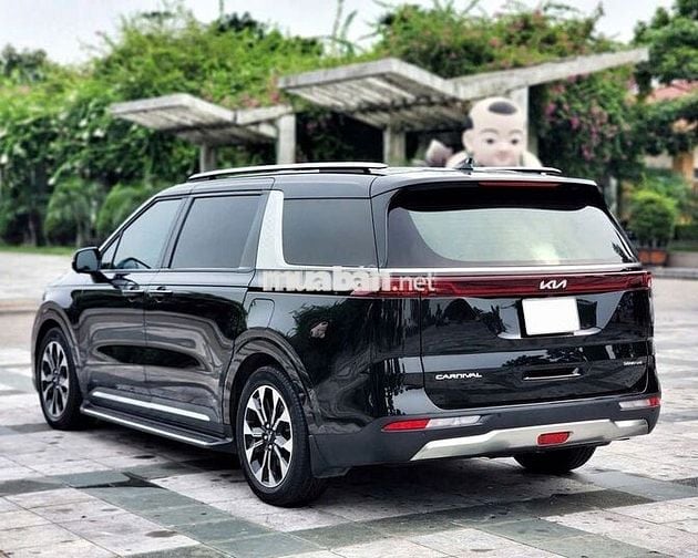 Carnival Signature 2023 Full Dầu