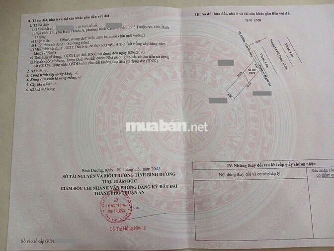 Đất đẹp mặt tiền kinh doanh Lê Thị Trung p. Bình Chuẩn Thuận An
