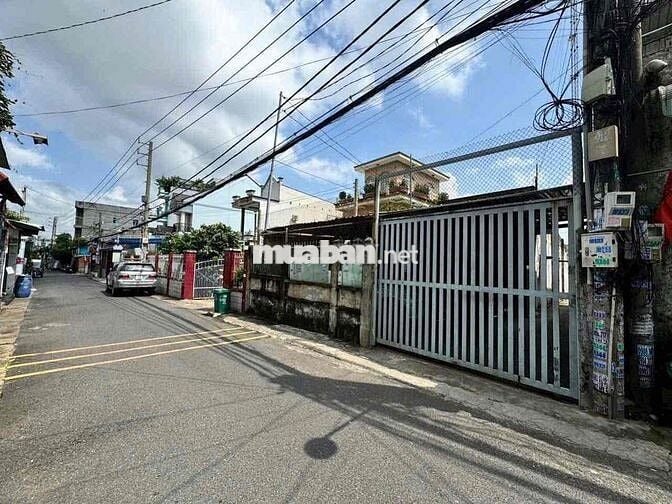 lô biệt thự khủng an bình ngang 24 mét