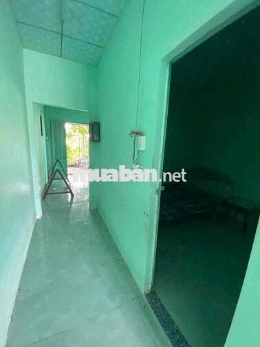 bán229,5m2  đất thổ  tặng nhà cấp 4 đường xe hơi 7 chỗ cách nhự 80m