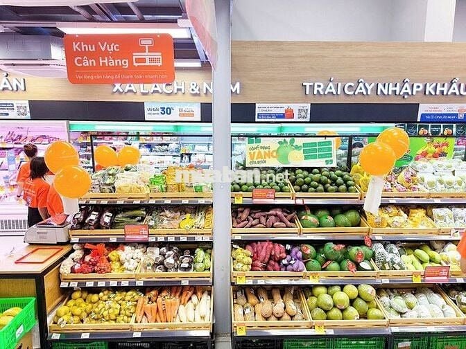 MTKD - Lê Văn Lương , Q7 - 9x20m - 2 Tầng suốt - Giá 70 Triệu TL