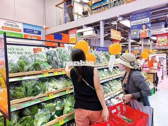 MTKD - Lê Văn Lương , Q7 - 9x20m - 2 Tầng suốt - Giá 70 Triệu TL