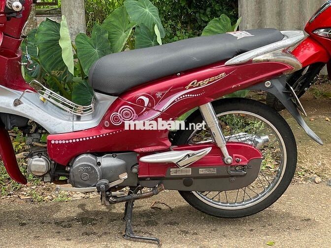 Xe đi làm Wave Angela 110 SYM chính hãng ✅