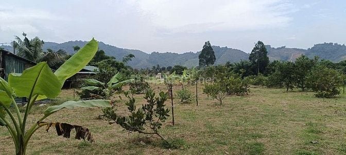 BÁN 4041m2 ĐẤT GIÁP SUỐI - CÓ 100m2 THỔ CƯ - MẶT TIỀN ĐƯỜNG NHỰA LỚN