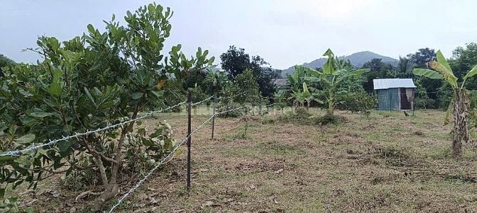 BÁN 4041m2 ĐẤT GIÁP SUỐI - CÓ 100m2 THỔ CƯ - MẶT TIỀN ĐƯỜNG NHỰA LỚN