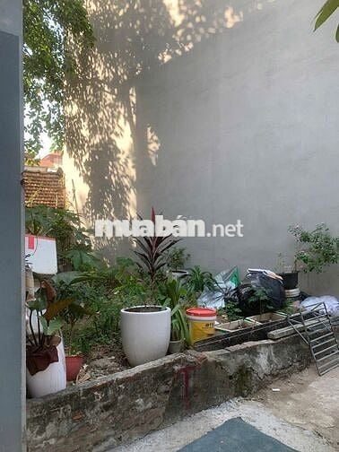 Cần bán đất thổ cư Lai Xá, Kim Chung đối diện Đại Học Thành Đô