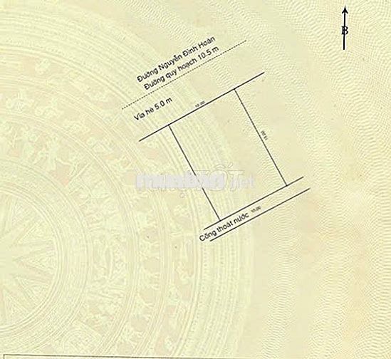 Bán lô đất biệt thự đường Nguyễn Đình Hoàng, Nại Hiên Đông, Sơn trà.