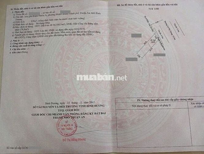 Đất mặt tiền kinh doanh đường Lê Thị Trung gần trường Lý Thái Tổ, 2784