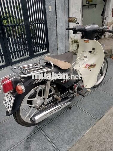 Cub 50cc