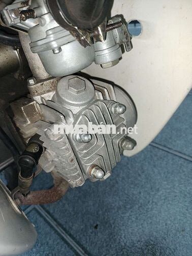 Cub 50cc