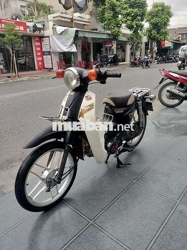 Cub 50cc