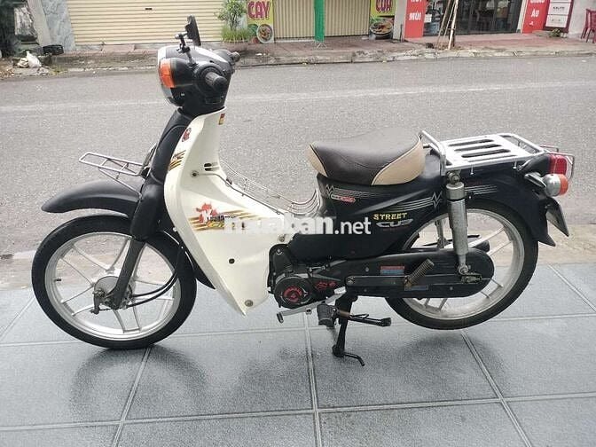 Cub 50cc