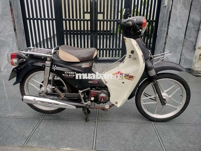 Cub 50cc