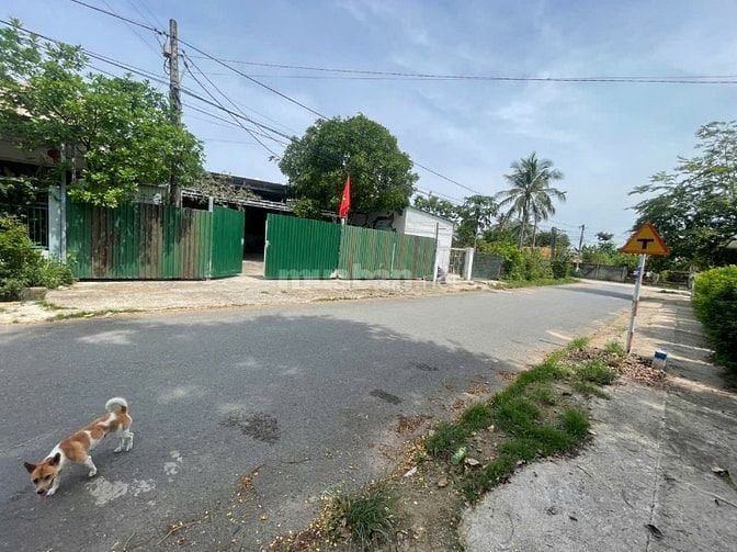 Chính chủ cần bán gấp lô đất đẹp