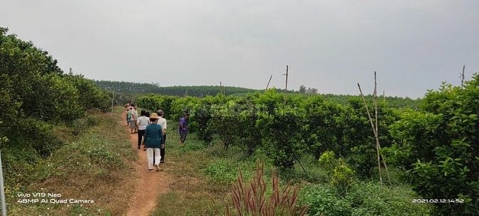 BÁN 7 ha, ĐẤT ĐANG TRỒNG CAM, BƯỞI, GẦN THỦY ĐIỆN TRỊ AN - ĐỒNG NAI
