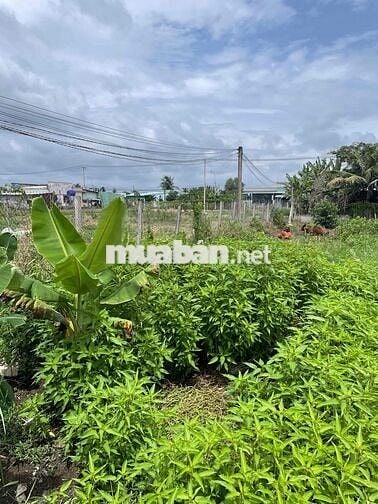 Đất thổ cư 200m2 - phước vân, cần đước, long an