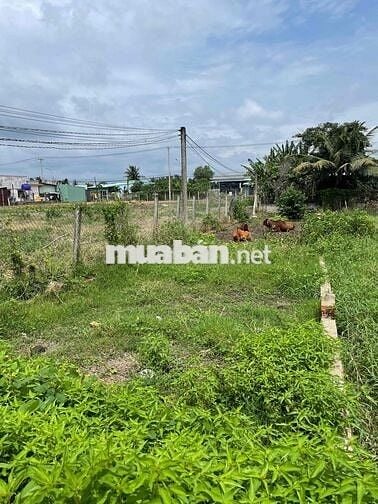 Đất thổ cư 200m2 - phước vân, cần đước, long an