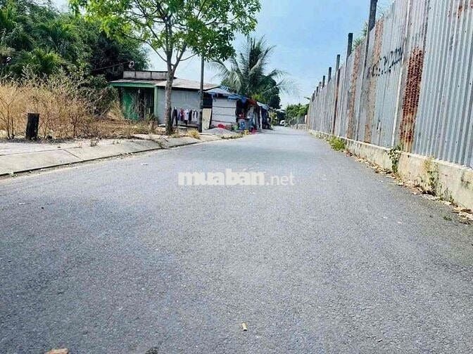 (25)BÁN GẤP LÔ ĐẤT 246M² – ĐƯỜNG SỐ 18, TÂN THÔNG HỘI