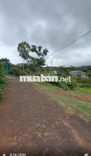 Bán 1000m2 - 300 Tr tại TP Pleiku Gia Lai cách QL19 400M