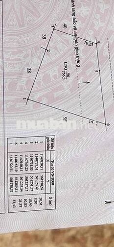 Đất mặt tiền 30m với đường rộng 12m ngay cầu rạch miễu 2