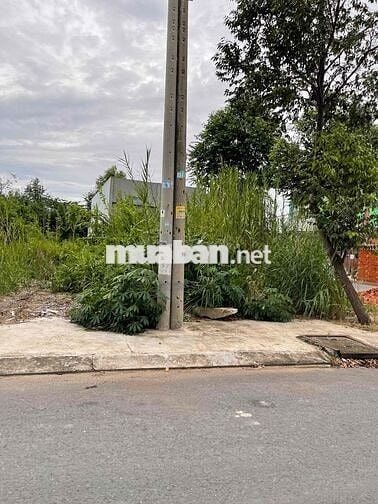 Cần bán đất thổ cư chính chủ 100m2 giá rẻ tại Long An giáp Bình Chánh