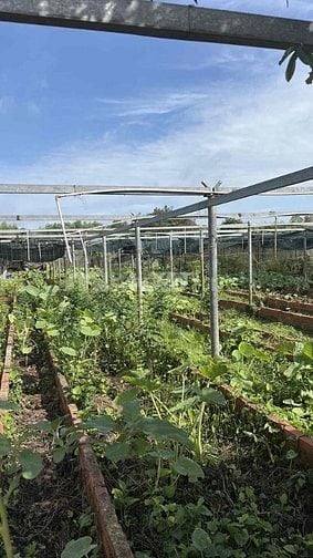 65 tổ 5 ấp tam tan, xã an tan hội, củ chi tuyển nam nữ