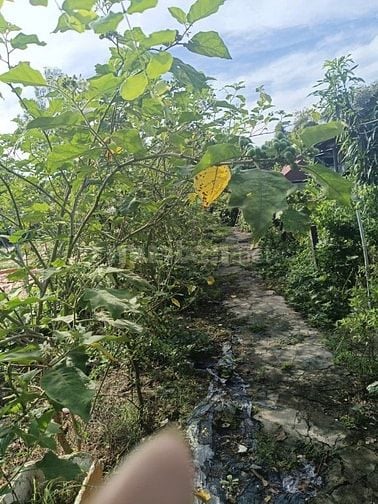 65 tổ 5 ấp tam tan, xã an tan hội, củ chi tuyển nam nữ