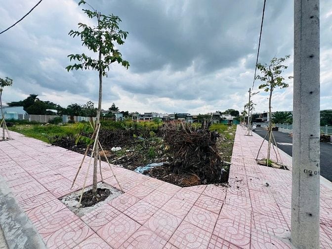 🔥 ĐẤT ĐẸP – GIÁ TỐT – SỔ RIÊNG SANG TÊN NGAY!